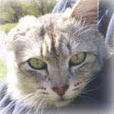 2002�N�āA�V����S�����܂����B�悭����΂����ˁc