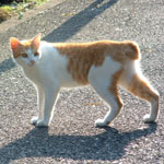 ���ꂳ�񂪘A�ꋎ���Ă��܂��ĂP�N�ɂȂ�܂��ˁc