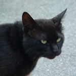 ���̍��L�͂ƂĂ����ꂢ�ł��B�����獡�܂ł��Ȃ�������Ȃ̂ł͂Ȃ����Ɓc�B���L�͖͗l���Ȃ������ʂ������ł���ˁ[