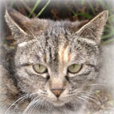 �����Ǝp�����Ă��Ȃ���������ǁA5���ӂ���ƌ����ɖ߂��Ă��܂����B�ł��A���ꂳ��Ƃ͕ʂ̏ꏊ�Ő������Ă��܂�