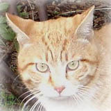 ���̑O�v���Ԃ�ɗV�тɗ��Ă܂����B����ς菗�̎q���ړI���c