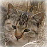 ���̎q�͍������C�ɐ����ŕ�炵�Ă��܂�