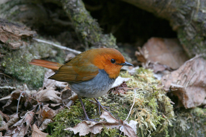 �Ƃ��Ă��l���������i���ꂷ���Ƃ����\������j�����ł����B���������Ă���Ƃ��낪�B��Ȃ��Ďc�O���O�c