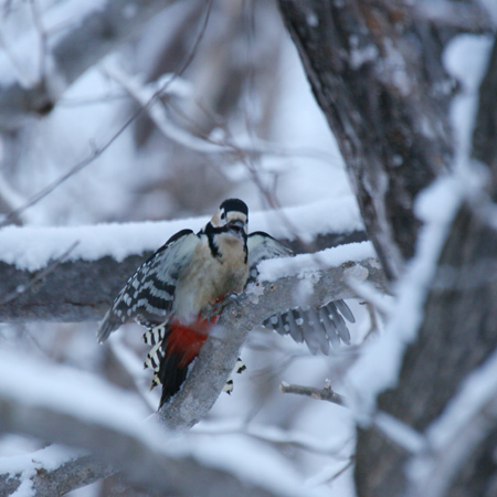 ���ł���Ƃ��낪�B��܂����B���ʊ�͂������낢�Ȃ�